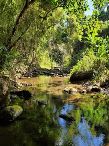 Nature Lovers' Dream! Agricultural Lot with Water Falls, Luna, La Union